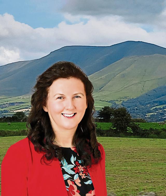 Leave granted for judicial review of Limerick alumina refinery decision
