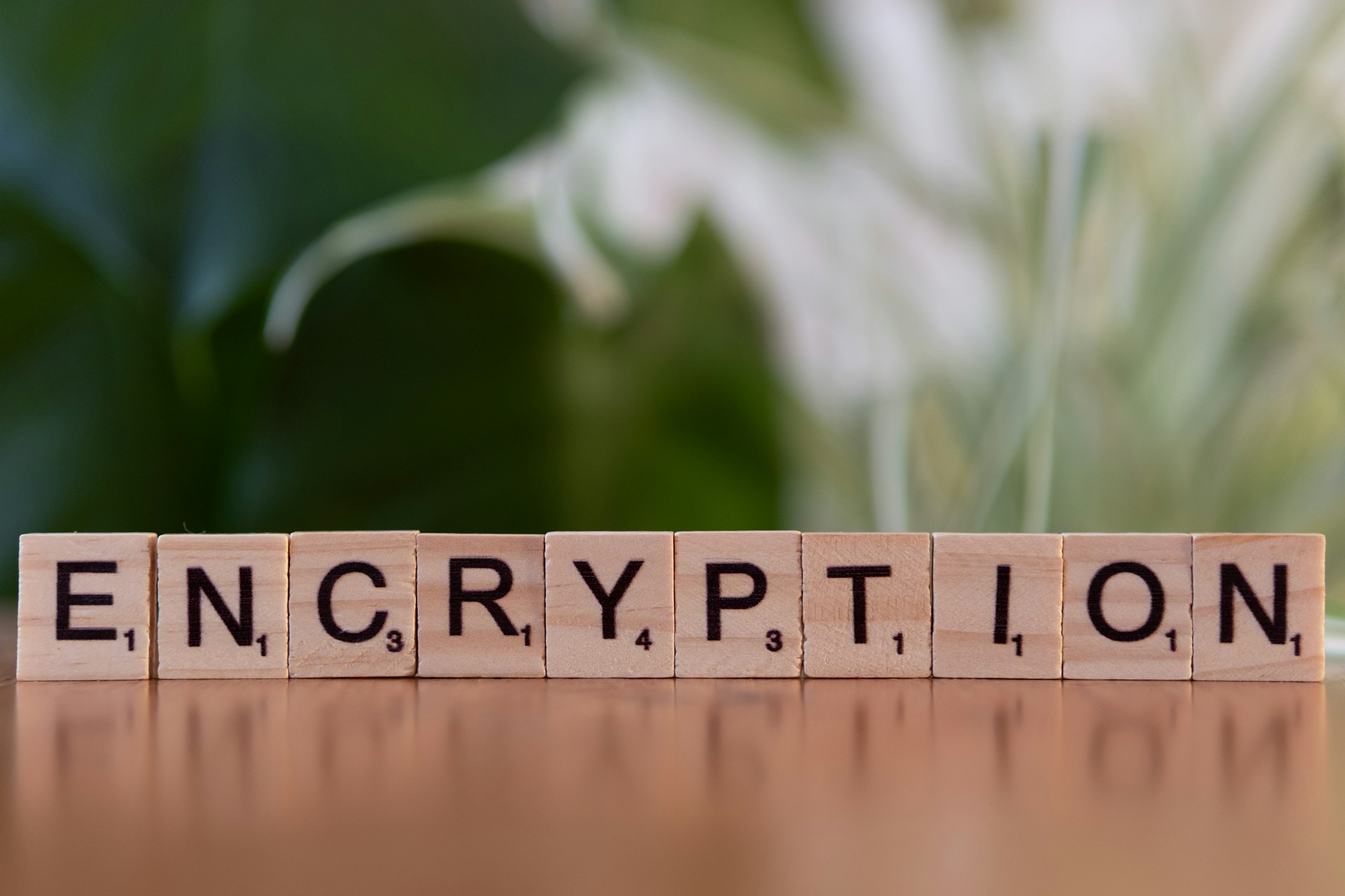 Irish public rejects State breaking of encryption