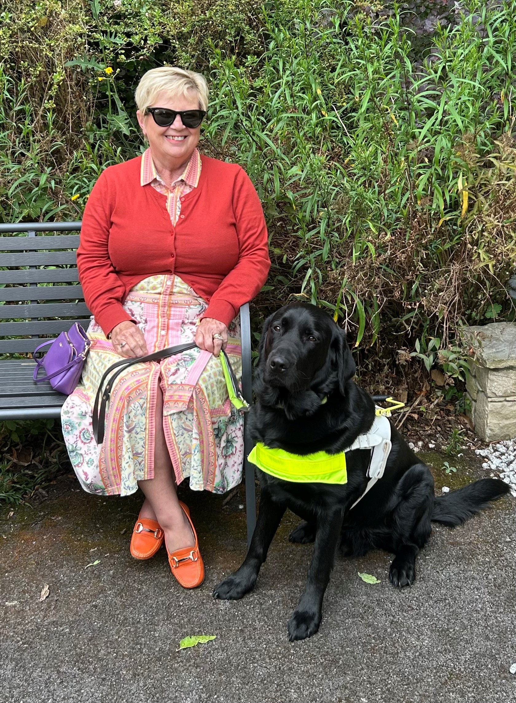 WRC discrimination finding prompts Hertz to change T&Cs on guide dogs