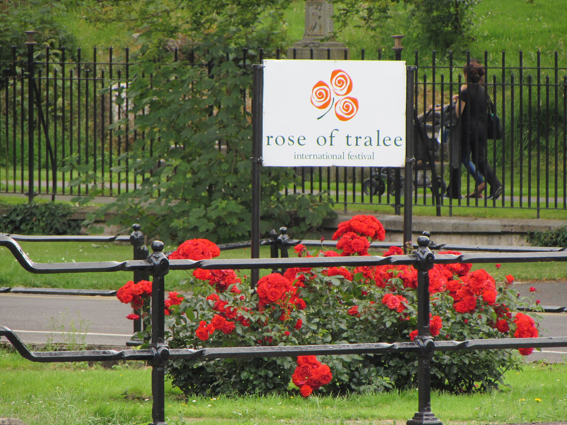 Aspiring solicitor Gavin Brady named Rose of Tralee Escort of the Year