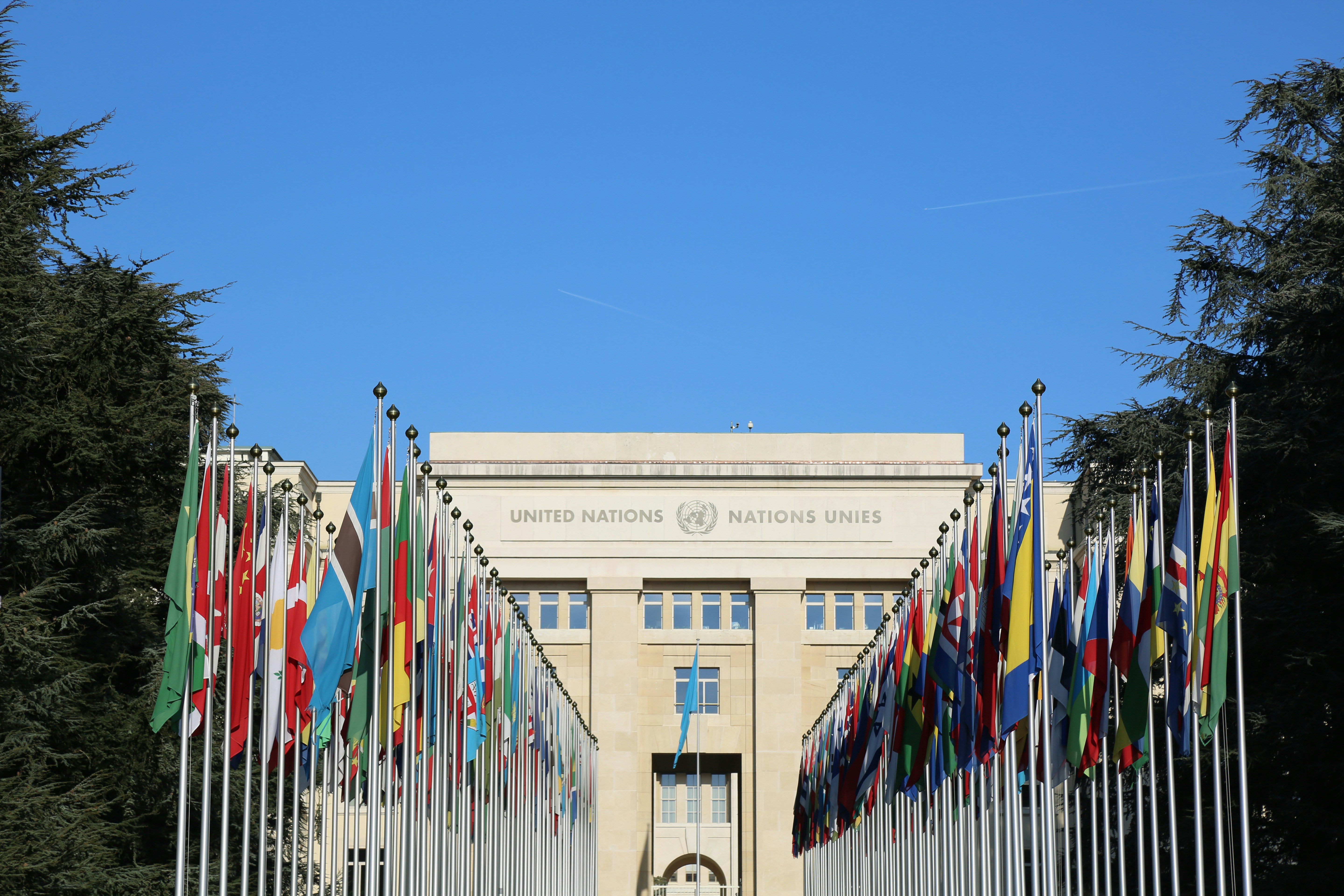 FLAC and ICCL warn UN that Ireland risks human rights rollback