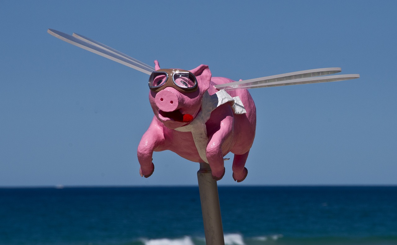 And finally... when pigs fly