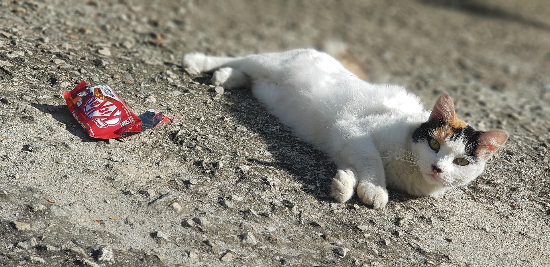 And finally... make a break