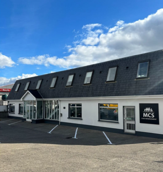 Case Managers: Ireland’s hidden link between care and law