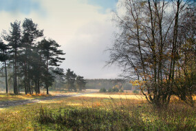 Box image