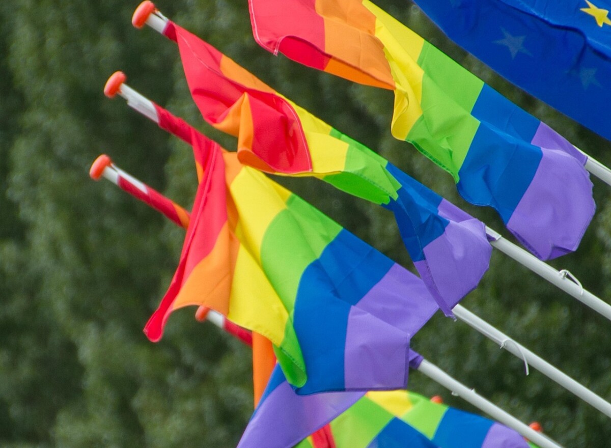 Featured article image