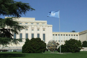 Box image