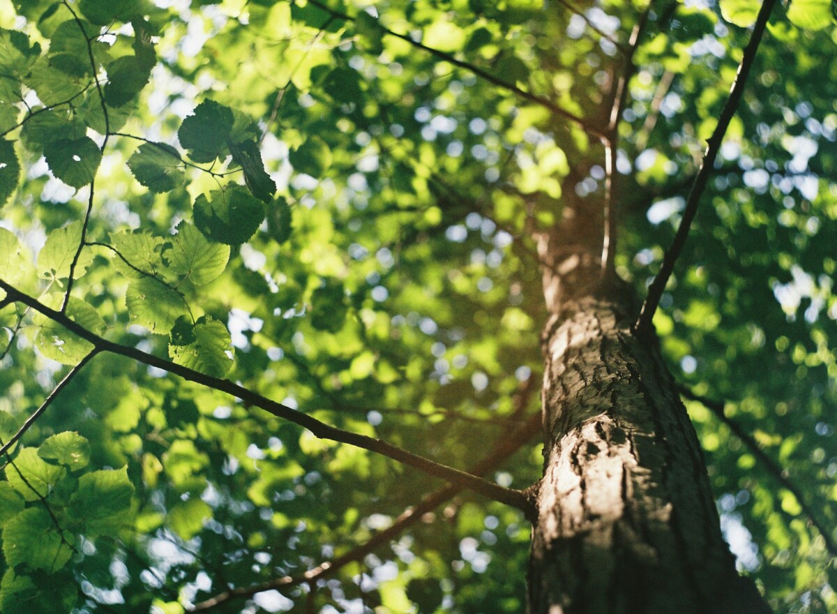 Featured article image