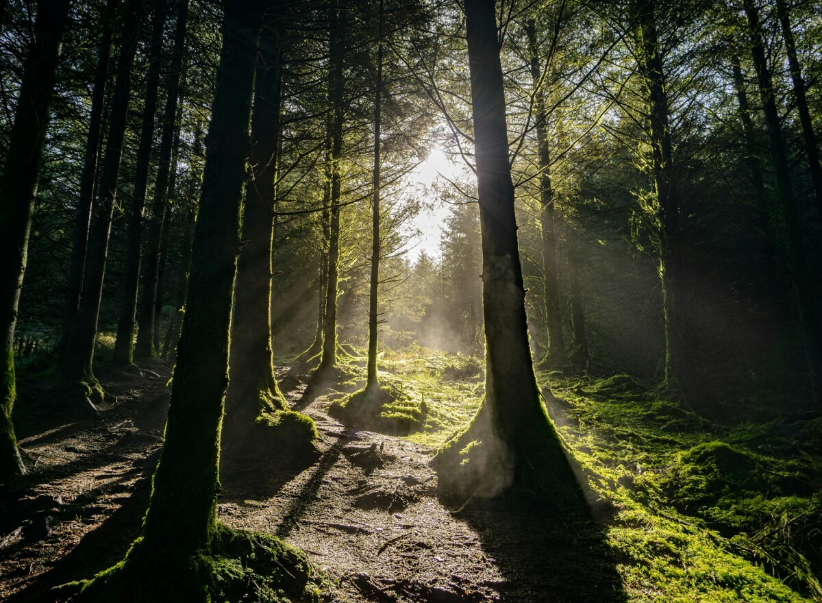 Featured article image