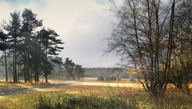 Box image