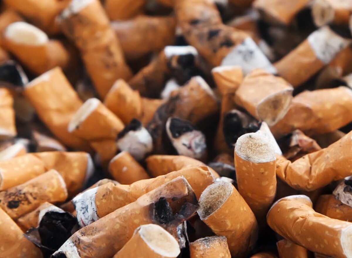 my lungs hurt from smoking cigarettes Pictures of Lungs After Quitting Smoking my lungs hurt from smoking cigarettes Pictures of Lungs After Quitting Smoking
