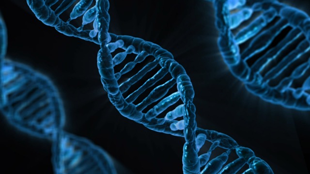 Rising success rate for DNA database in matching 'unknown crime stains'