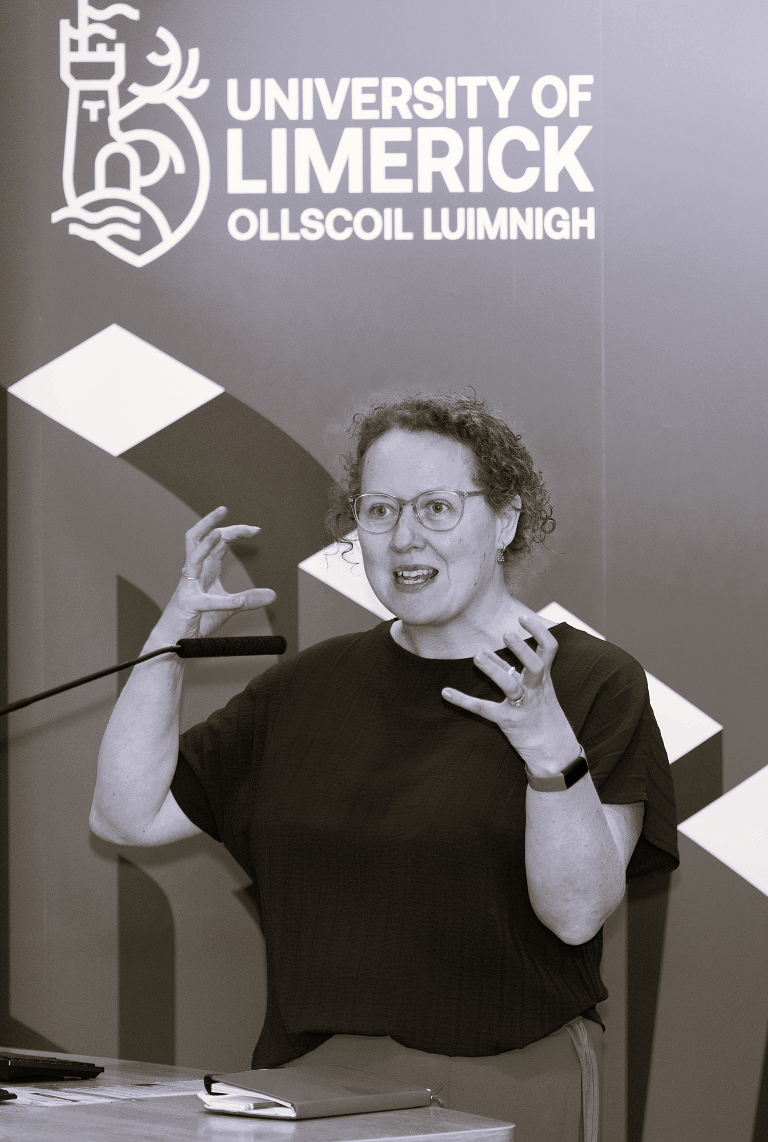 Professor Jennifer Schweppe named editor-in-chief of Irish Judicial Studies Journal