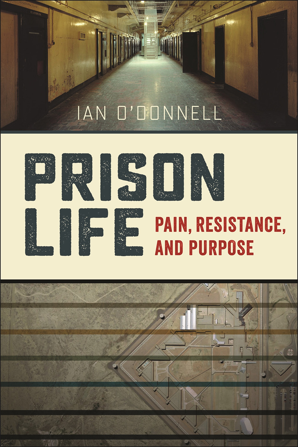 Irish academic's prisons book wins US award