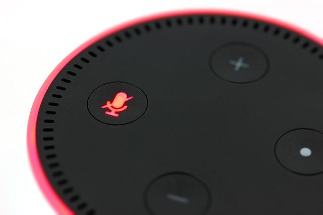 Public servants told not to talk shop around Amazon's Alexa