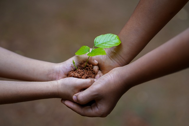 English law firms told they can refuse clients who contribute to climate change