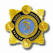 Flanagan in talks about equipping gardaí with tasers