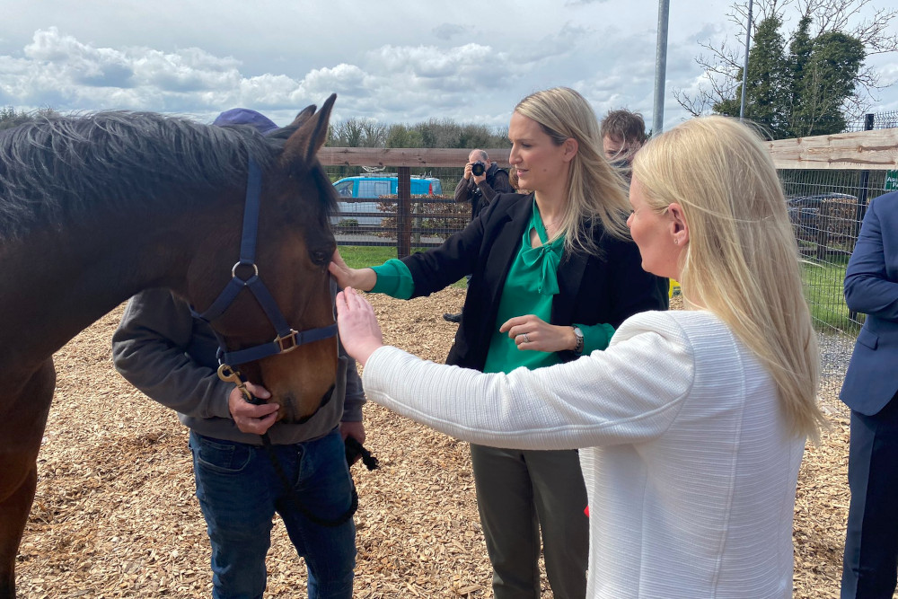 New equine centre to help Castlerea prisoners develop skills in horse husbandry