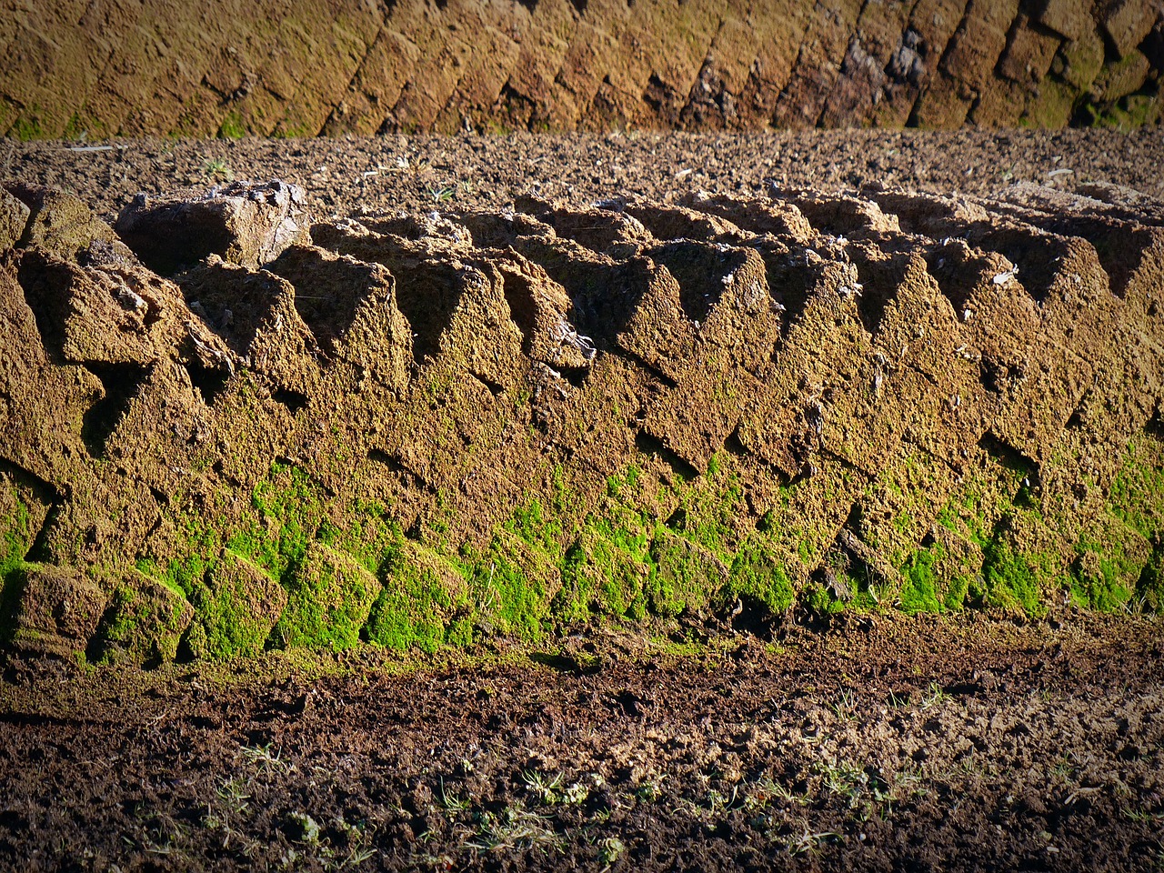 Ireland rapped by EU over peat-cutting