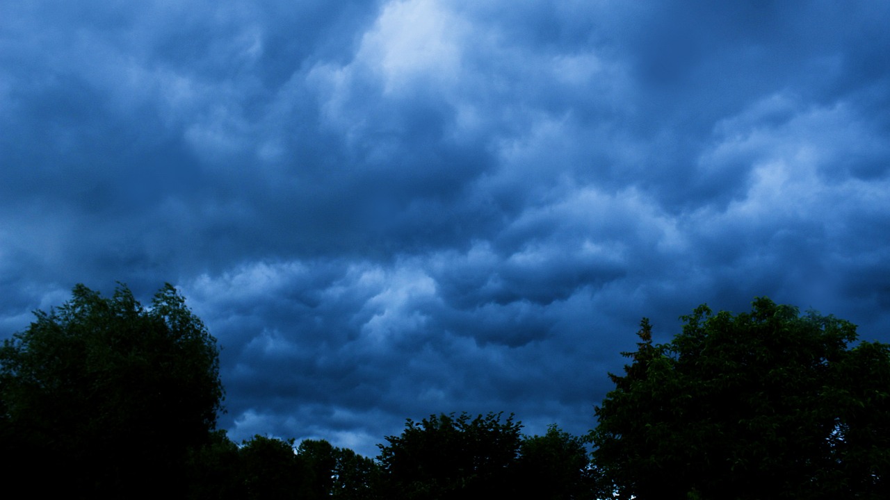 And finally... cloud cuckoo land