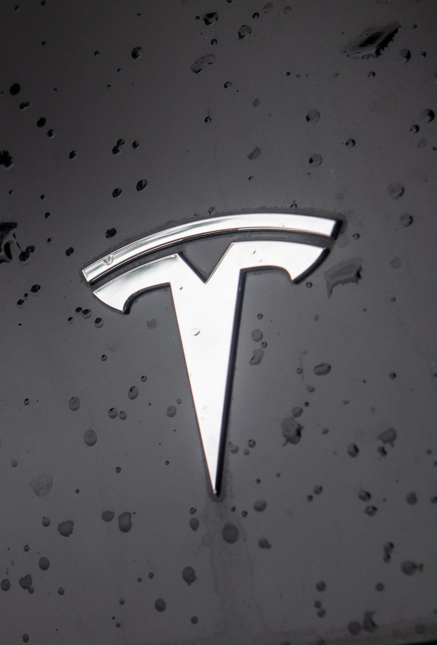 France: Tesla sued over Elon Musk's 'extreme right' politics