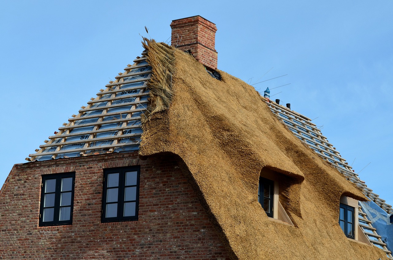 Oireachtas to discuss call for thatched building insurance reform